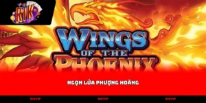 ngọn lửa phượng hoàng