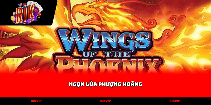 ngọn lửa phượng hoàng